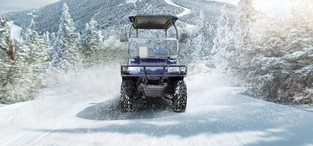 Golf Carts in Winter Storage